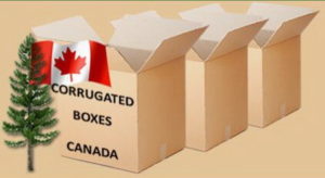 Corrugated Boxes