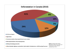 Net Deforestation in Canada