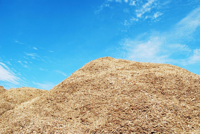 Pile of Wood Chips